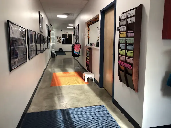 Upper Merion Dance & Gymnastics Center LLC Picture 5