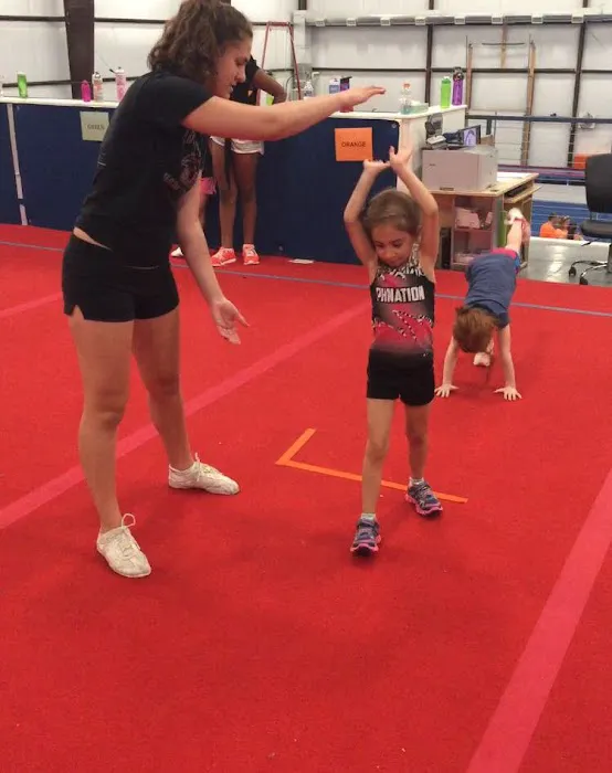 Upper Merion Dance & Gymnastics Center LLC Picture 7