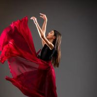Horizons Dance Conservatory ico