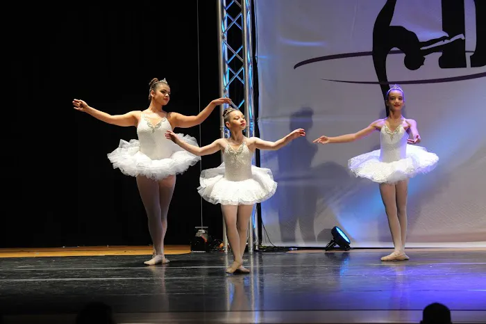 Branches of Dance Picture 1