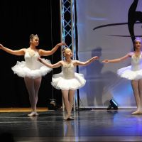 Branches of Dance ico