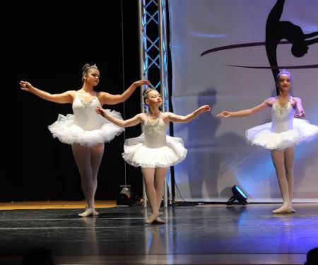 Branches of Dance