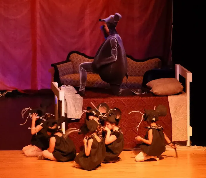 Branches of Dance Picture 6