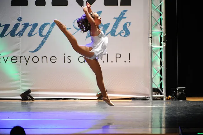 Branches of Dance Picture 4