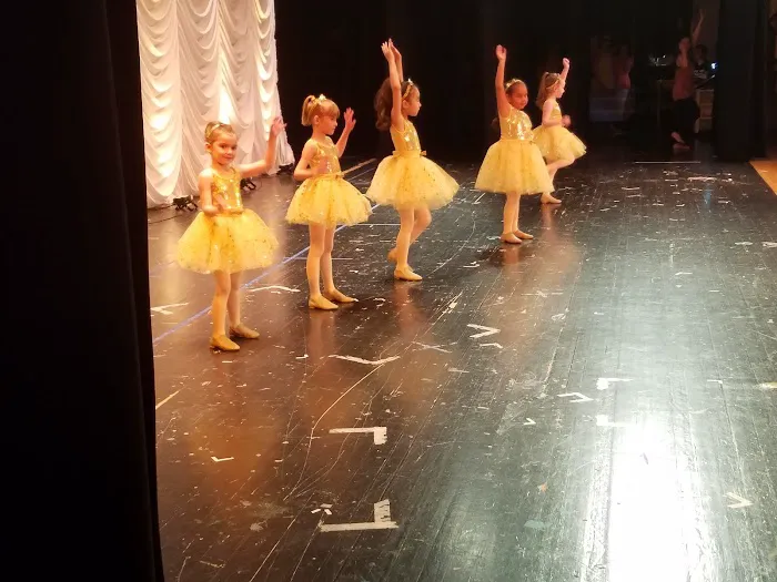 Branches of Dance Picture 7