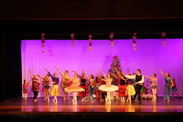 Allegro Dance Picture 3