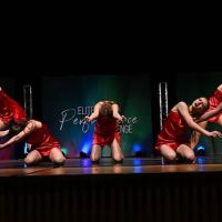 Rising Star Dance Academy ico