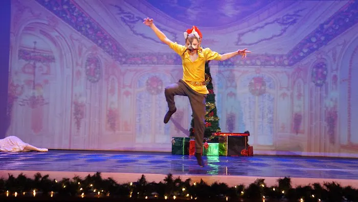 Pottstown Dance Theatre Picture 7