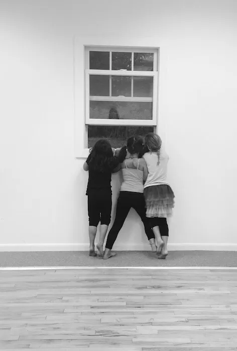 The D'amby Project Picture 5
