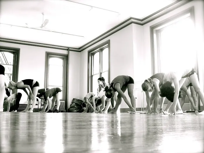 The D'amby Project Picture 7