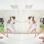 The D'amby Project