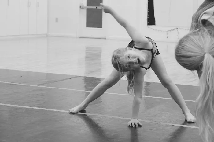 The D'amby Project Picture 9