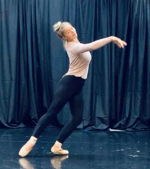 Hudson Valley Academy Of Performing Arts Picture 1