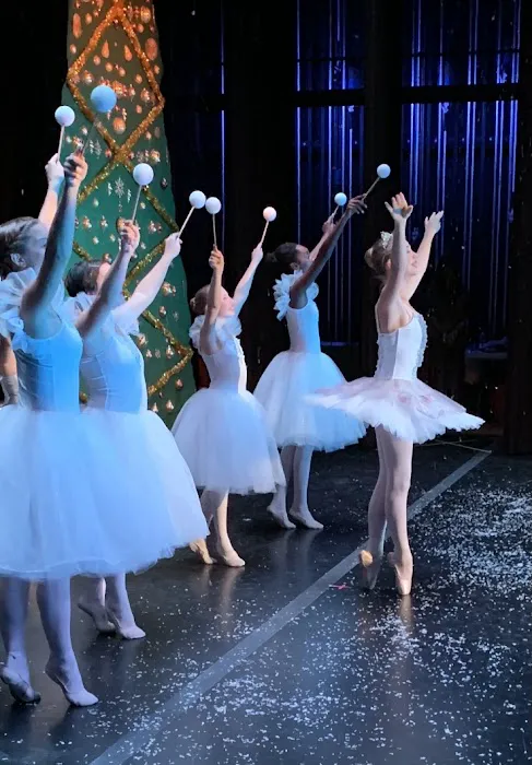 Hudson Valley Academy Of Performing Arts Picture 10