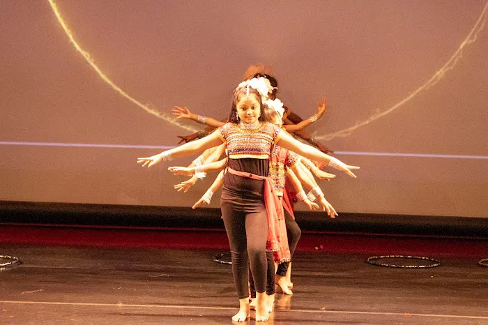 Shivaay Dance Academy Picture 3
