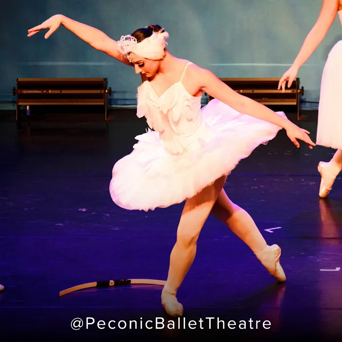Peconic Ballet Theatre Picture 8