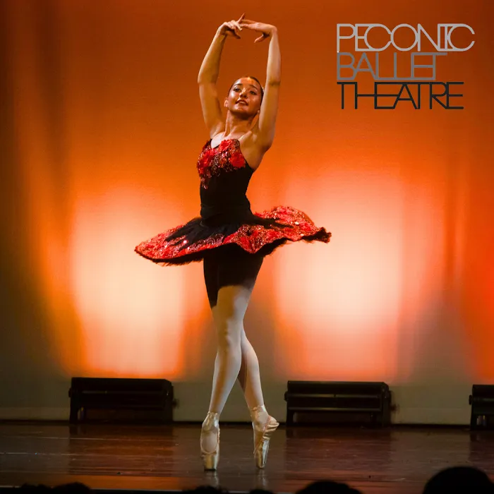 Peconic Ballet Theatre Picture 9