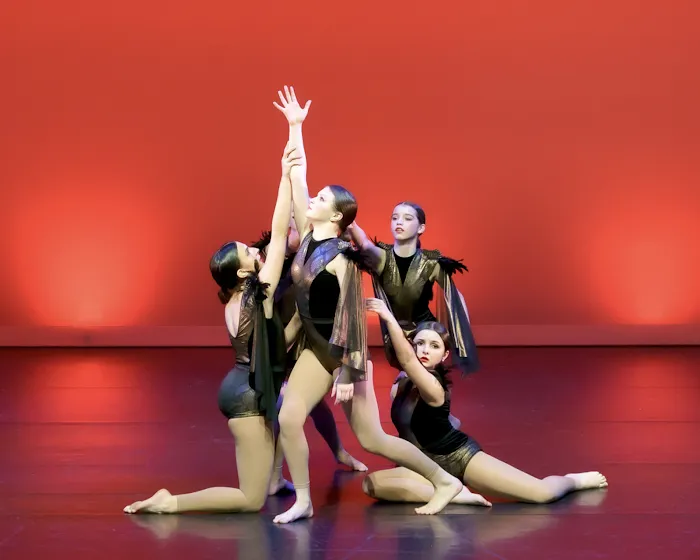 Today's Dance Center Inc Picture 5