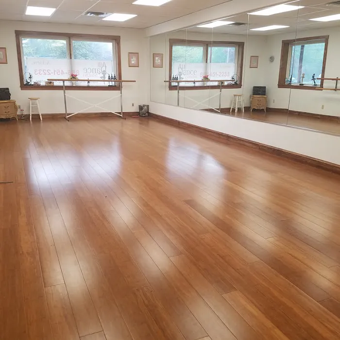 All That Dance Studio Picture 4