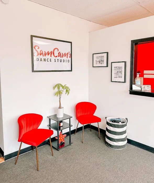 SamCam's Dance Studio Picture 1