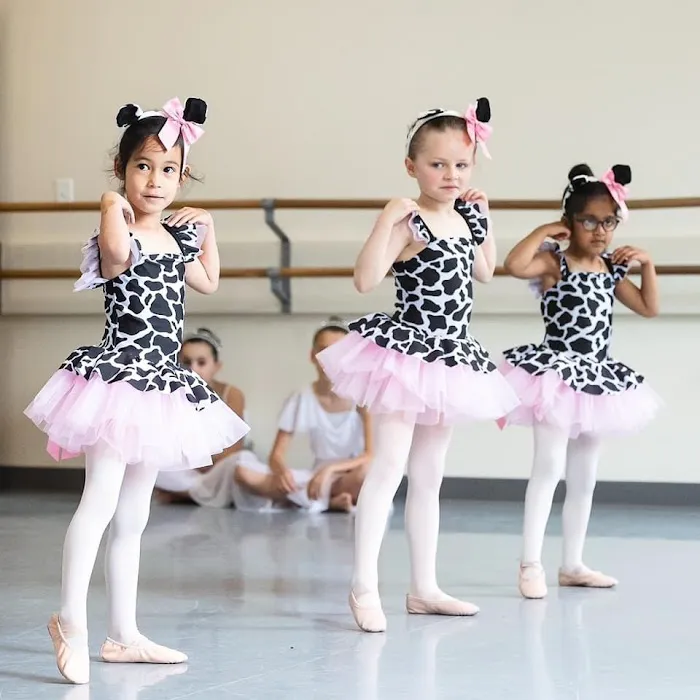 The Philadelphia Dance Academy - Main Line Picture 8