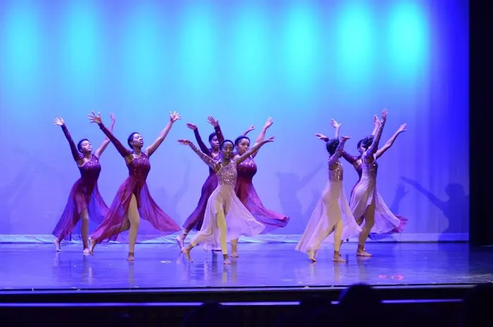 Dance Institute of Philadelphia LLC Picture 5