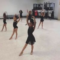 E'chappe Dance Arts, LLC ico