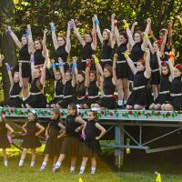 Peters School of Irish Dance ico