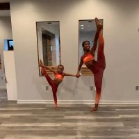 Living Arts Dance, Inc. ico