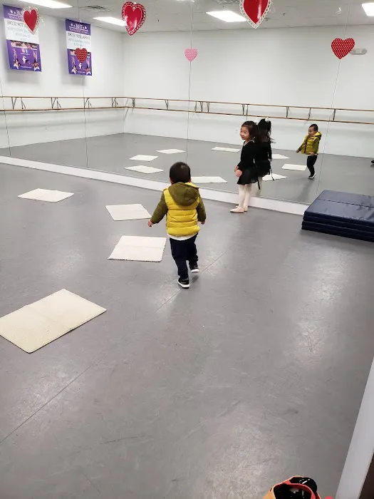 Lionville School of Dance Picture 1