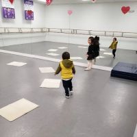 Lionville School of Dance ico