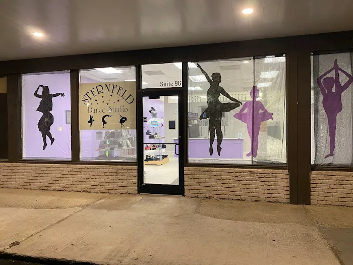 Sternfeld Dance Studio Picture 1