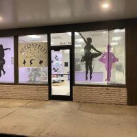 Sternfeld Dance Studio ico