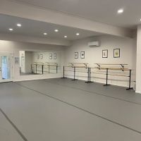 Rising Star Dance Academy ico