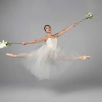 New Haven Ballet ico
