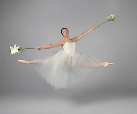 New Haven Ballet