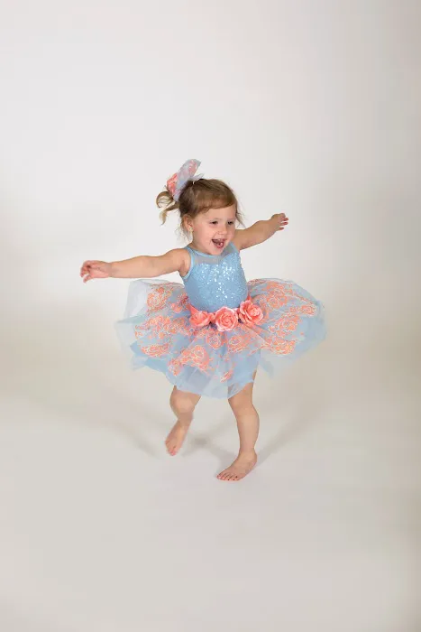 Center For Dance Arts II, llc Picture 8