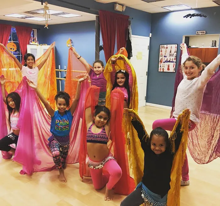 Middle Eastern Dance Academy of CT Picture 3