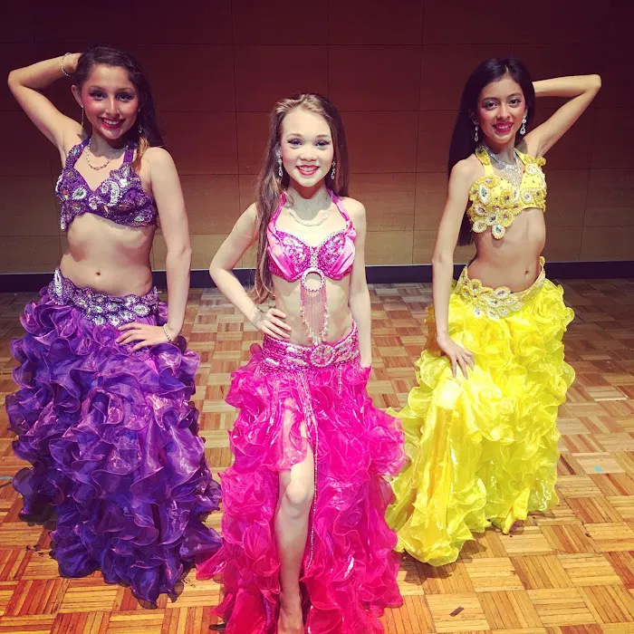 Middle Eastern Dance Academy of CT Picture 5