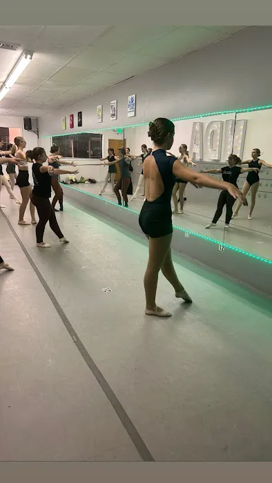 Noelle's Dance Academy Picture 3