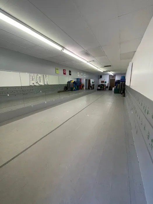 Noelle's Dance Academy Picture 5