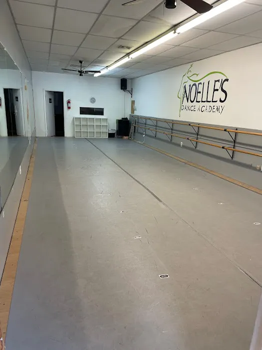 Noelle's Dance Academy Picture 4