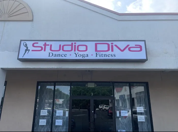 Studio Diva Picture 4