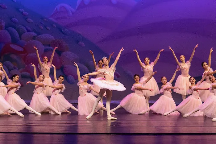 Dance Artistry Center Picture 8