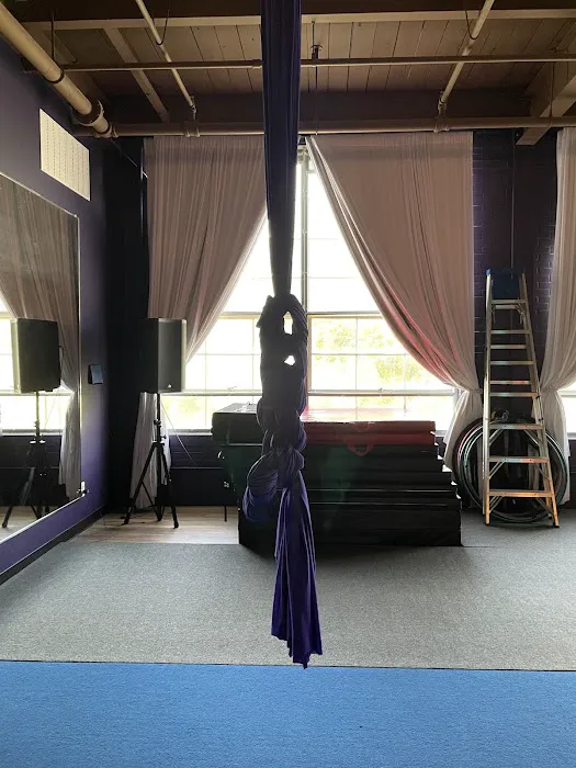 Awakenings Pole Dance Fitness Picture 4