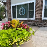 Haverford Dance Center ico