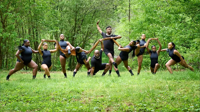 BSwan Dance, LLC Picture 3