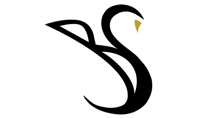BSwan Dance, LLC Picture 7