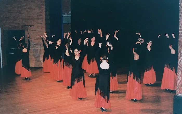 Suspiro Flamenco Dance Company Picture 1