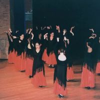Suspiro Flamenco Dance Company ico